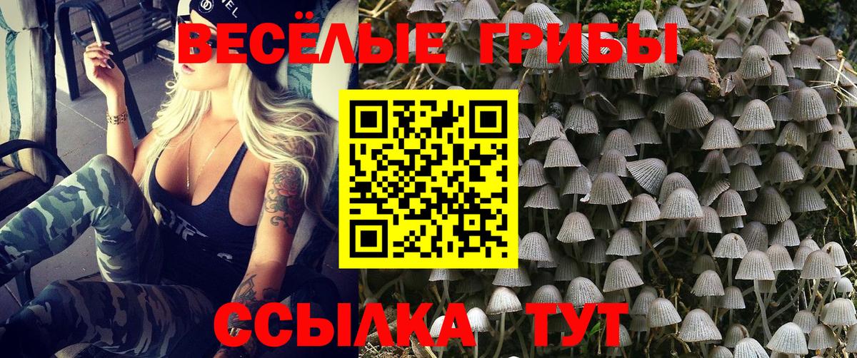 Галлюциногенные грибы Psilocybine cubensis  Вход с VPN  Янаул  Галлюциногенные грибы MAGIC MUSHROOMS 