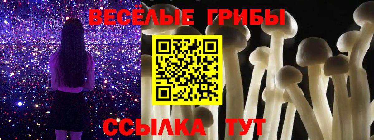 Псилоцибиновые грибы Psilocybine cubensis Янаул
